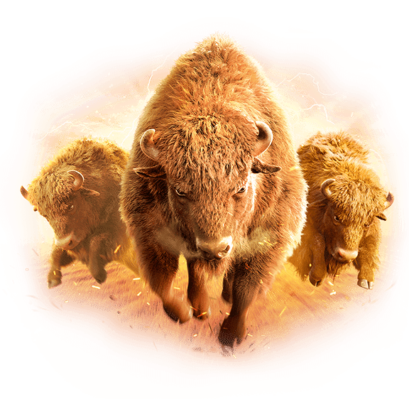 บทความของเราเกี่ยวกับวิธีดาวน์โหลด ( nuno168 ) 