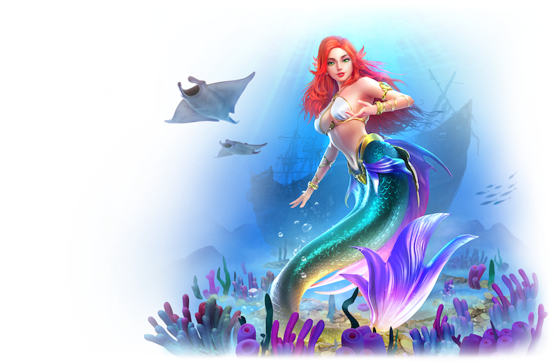 nuno168 เว็บหลักคนเล่นเยอะ มีจุดสังเกตตรงไหน